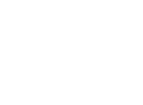 nanoplex service icon