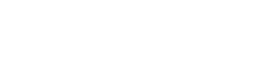 nanoplex icon